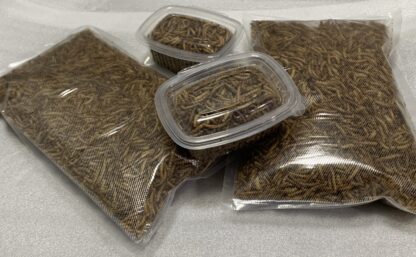 Moučný červ (Mealworm) - sušený 50g